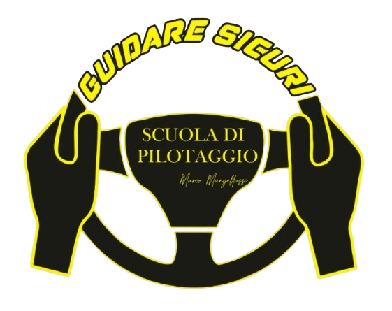 Logo Guidare Sicuri